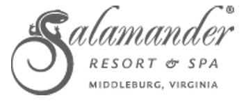 salamander logo web