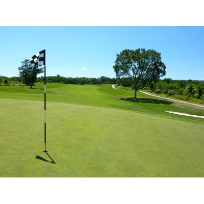 Single Anytime Round